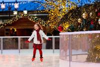 Image for Ice Skating at Ocean Beach Pleasure Park